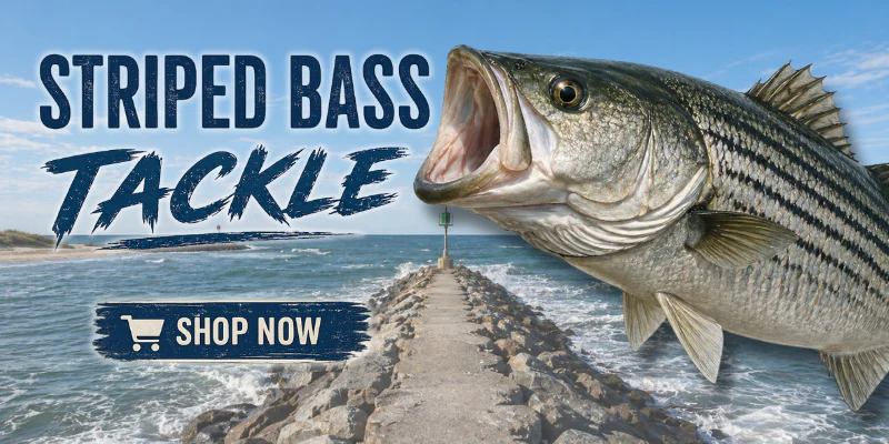 Gear Up for the Deep