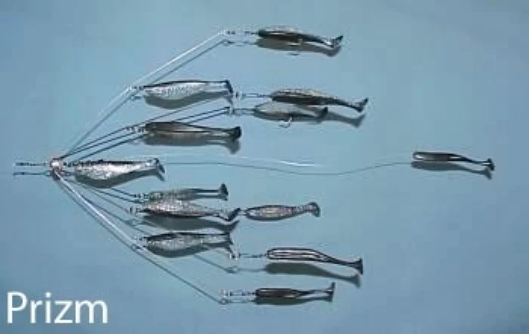 9er's New England 6" Shad Umbrella Rigs - Image 13