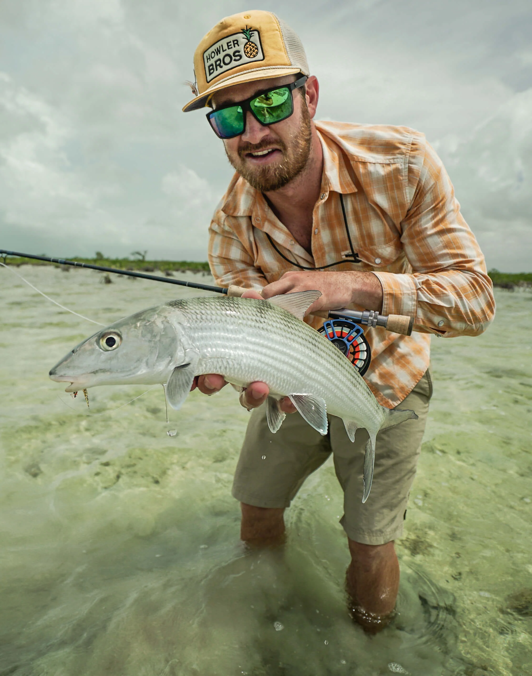 Bonefish - Image 4