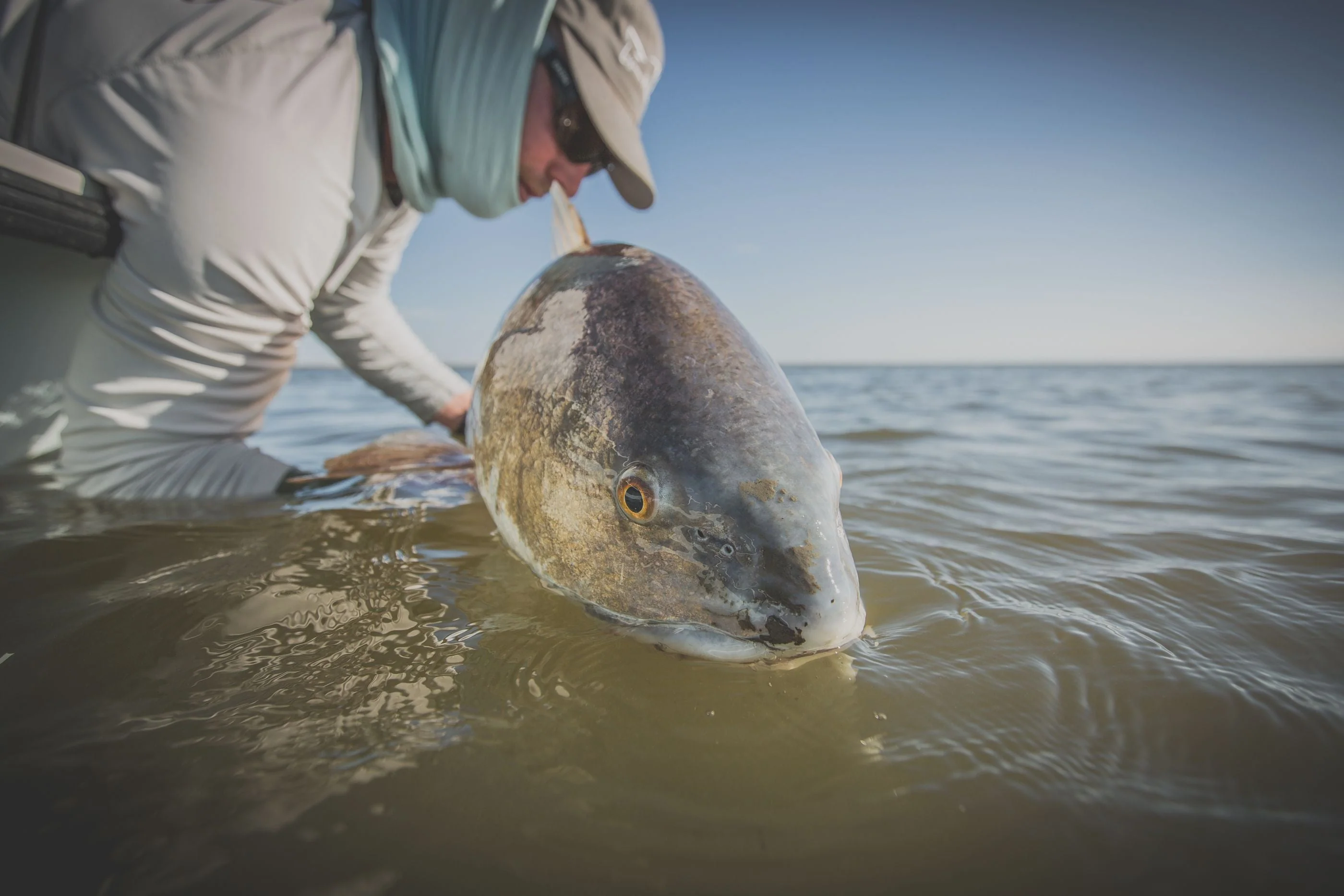 Cortland Cold Redfish - Image 4