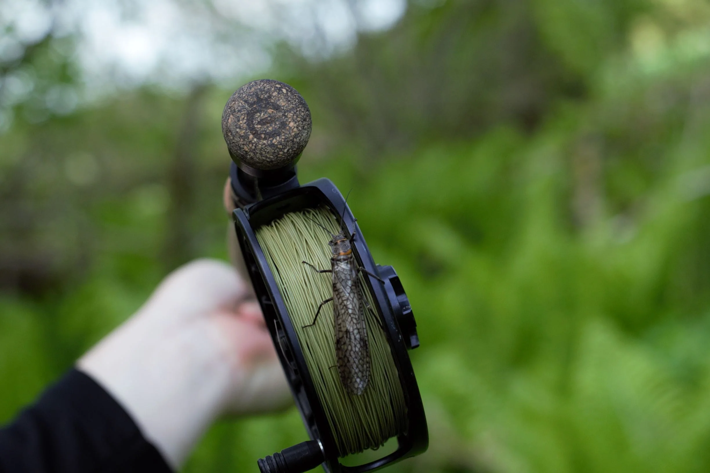 Euro Nymph Braid Core - Image 2