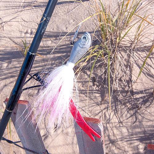 Fat Cow Jig Strips Fork Tail - 3-15/16" x 2/5" - Image 7