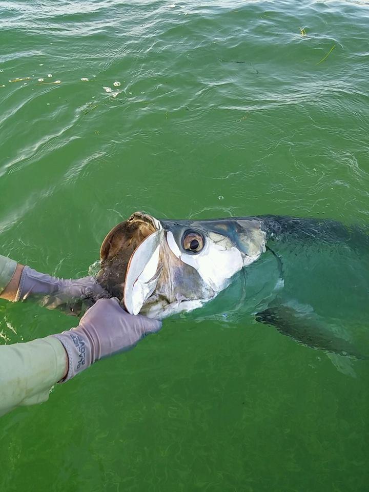 Glacier Glove Abaco Bay Sun Glove - Image 4
