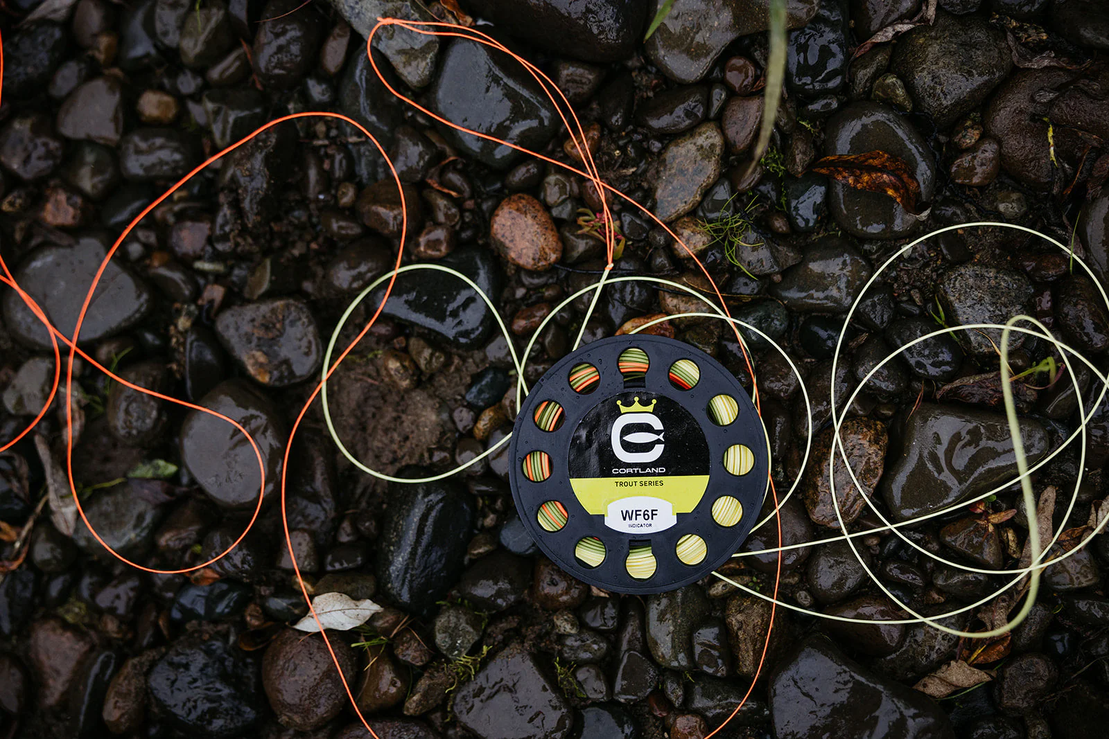 Cortland Indicator - Image 2