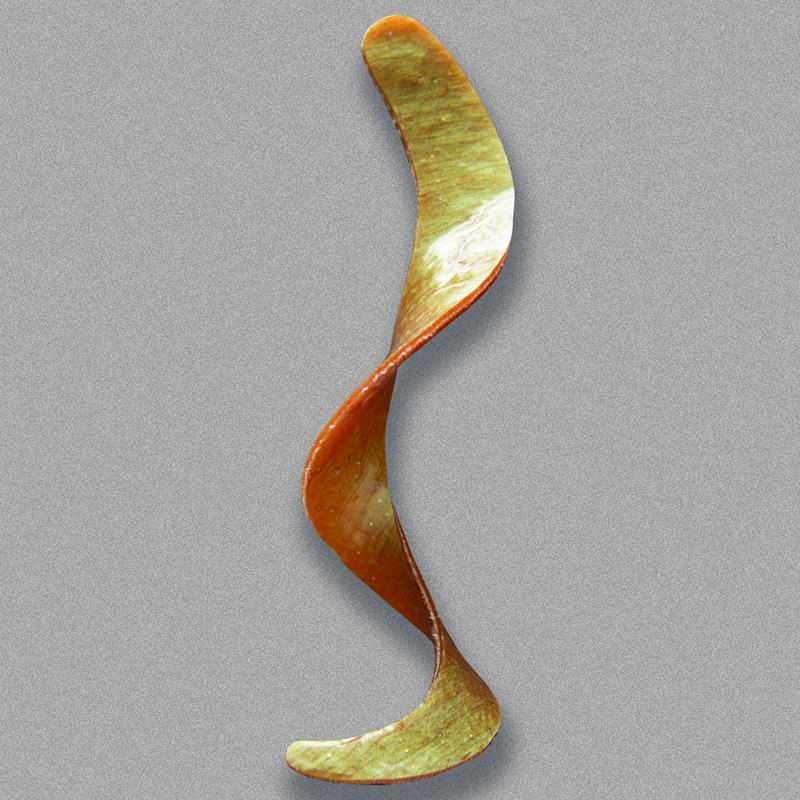Otter Tail Curly Long - Image 2