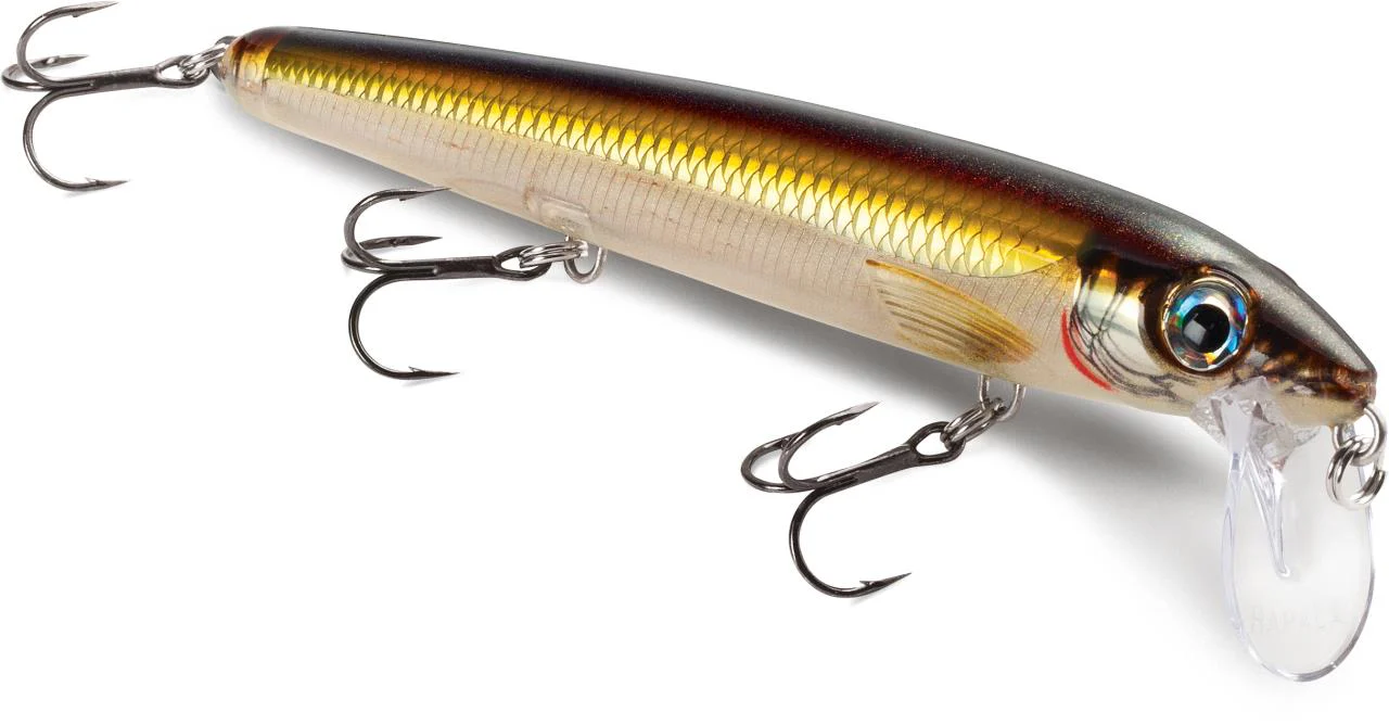 Rapala BX Waking Minnow - Image 3