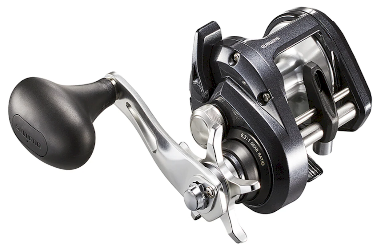 Shimano Tekota-A Conventional Reels - Image 6