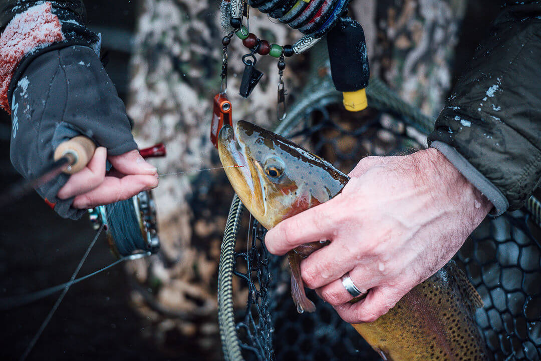 Cortland Ultra Premium Fluorocarbon Tippet - Image 5