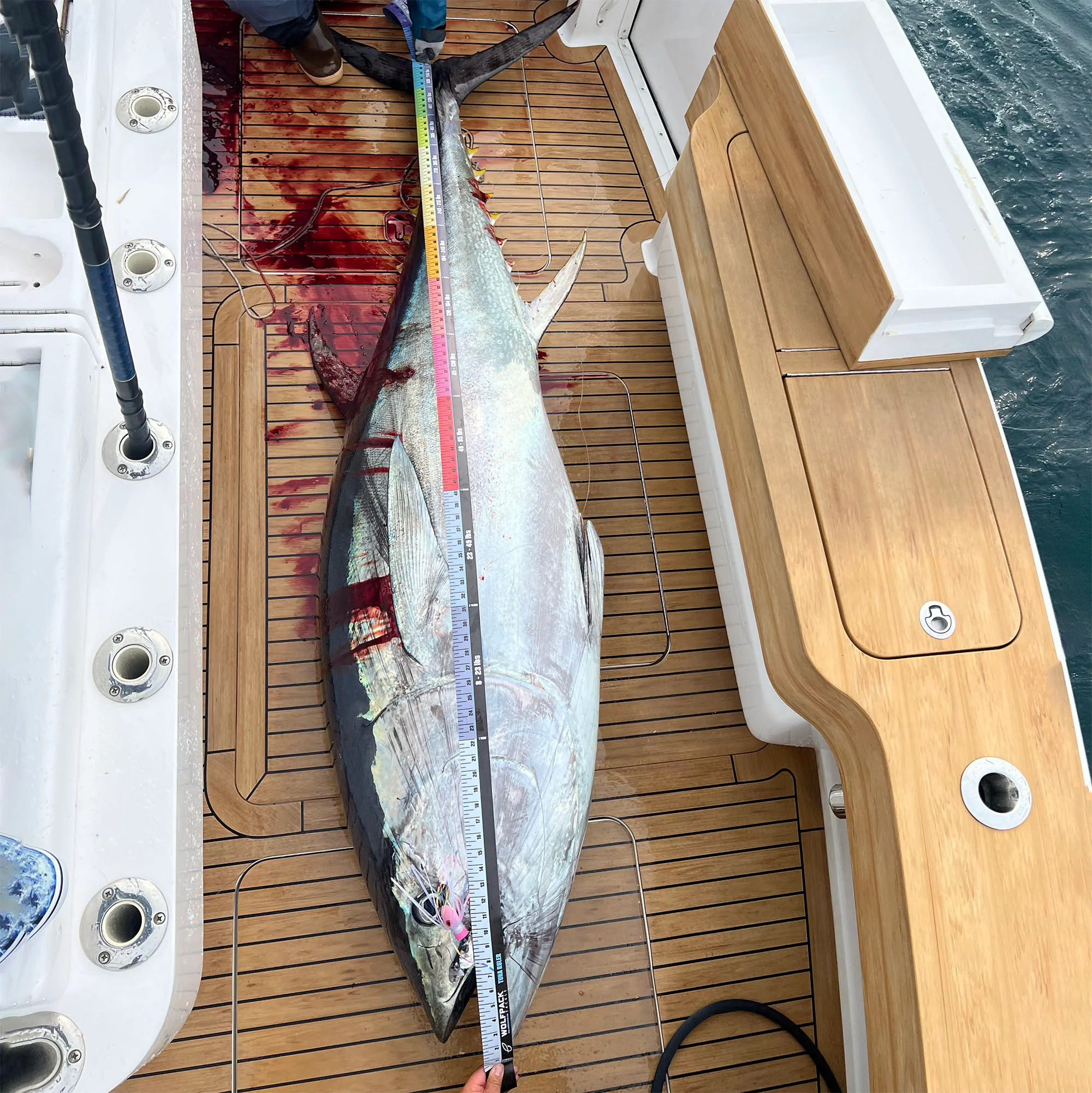 WolfPack Tackle Fish Ruler - Image 4