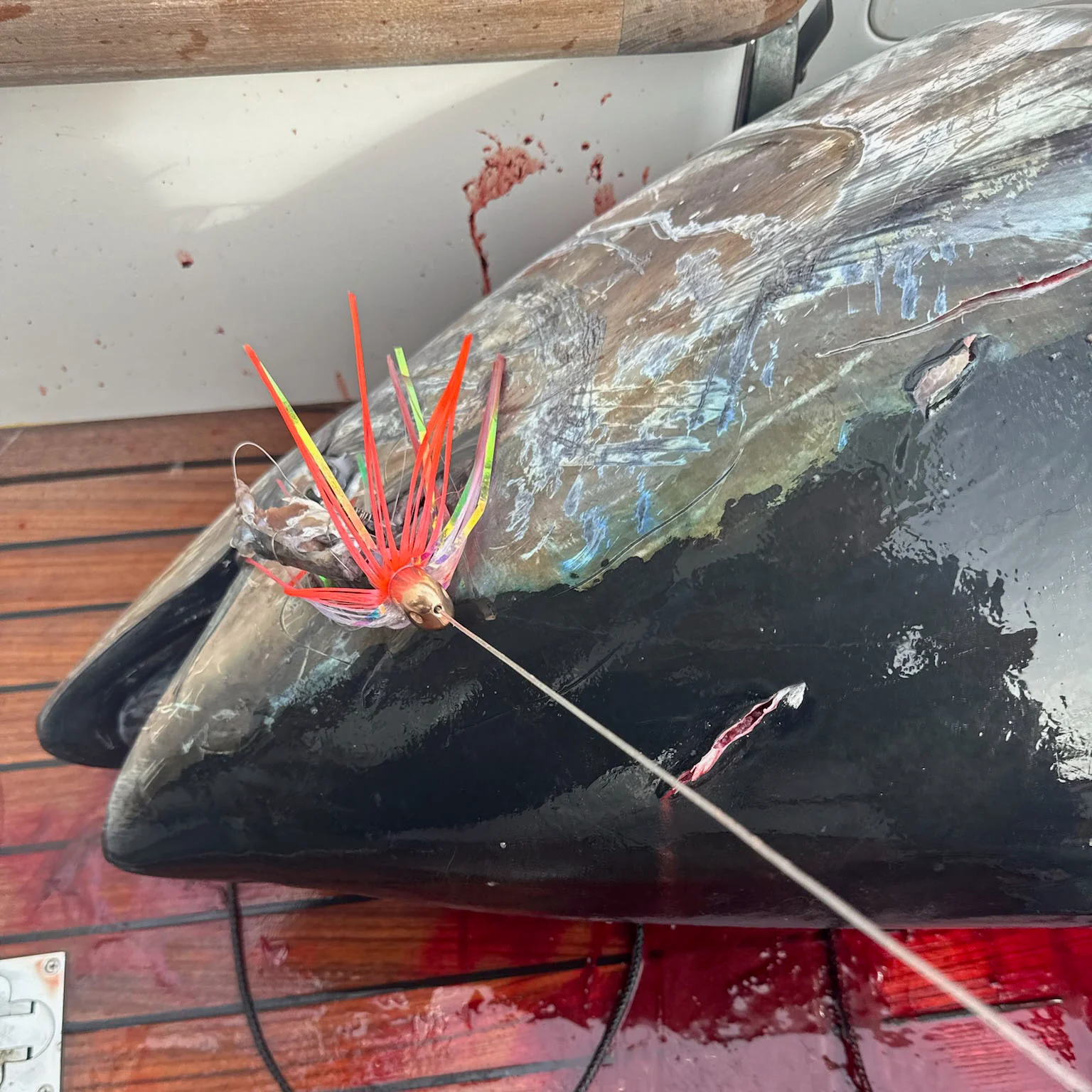 WolfPack Tackle Tungsten Ahi Head - Image 14